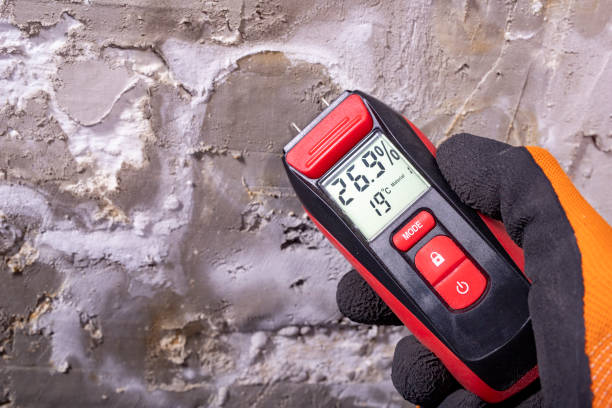 Professional Mold Removal in Long Creek, IL